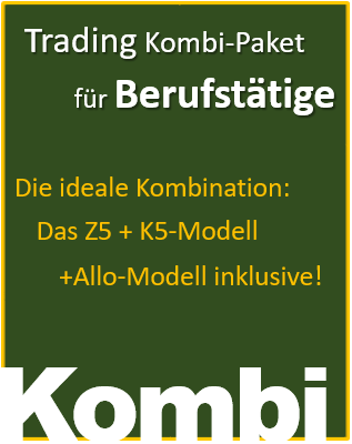 Kombi Modell Banner